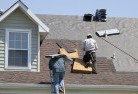 Toolongaroof-windows-2.jpg; ?>